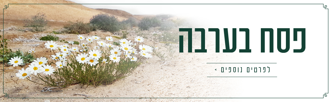 פסח 2026 בערבה 
