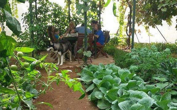 גן ירק בצופר