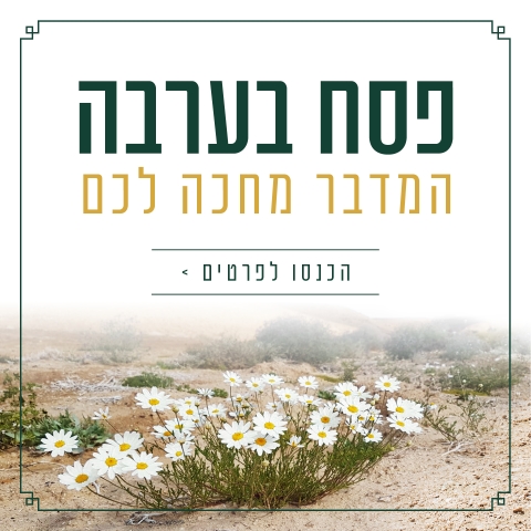 פסח בערבה 
30.3-8.4.2026