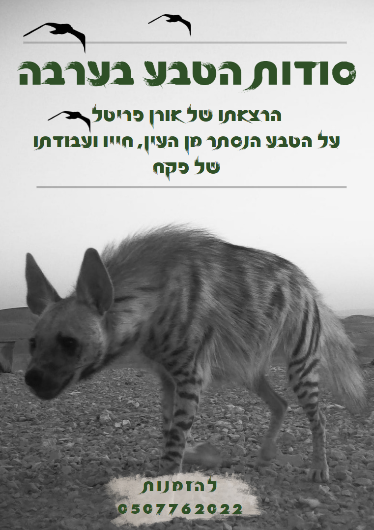 הרצאות טבע בערבה - אורן פריטל 