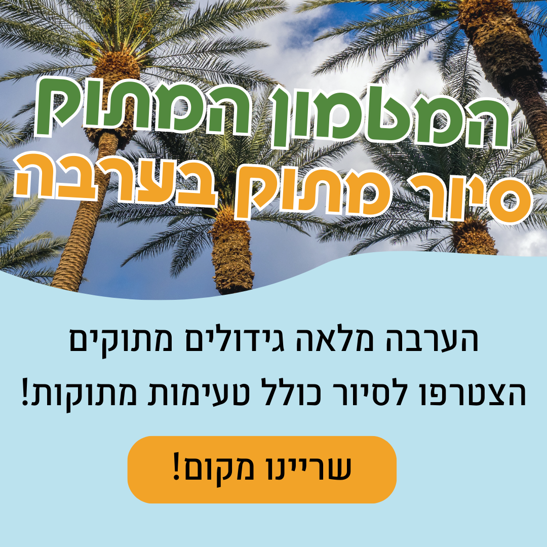 המטמון המתוק בסוכות