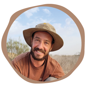 אור ברגרהאוס