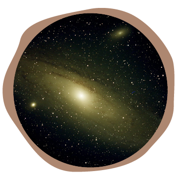 יהונתן כלפה