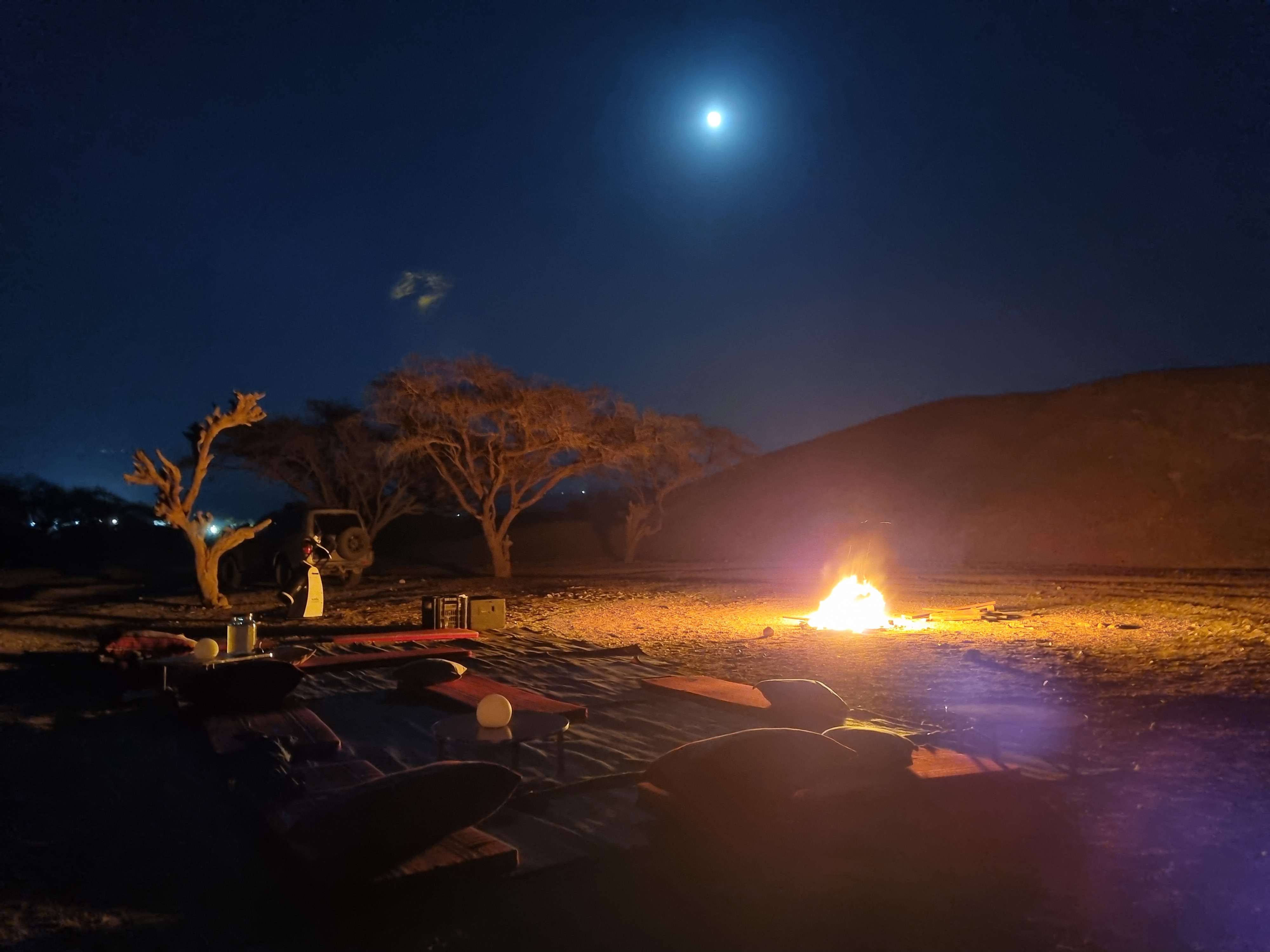 פויקה וכוכבים במדבר - ארז 