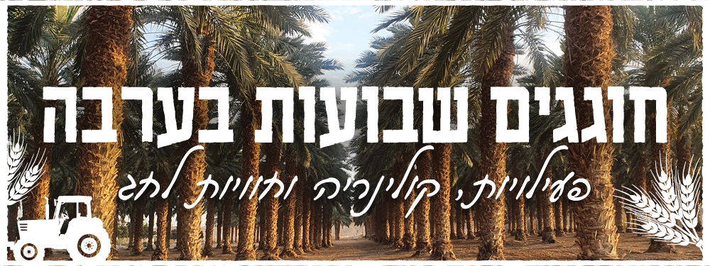 חג שבועות בערבה 2026 - באנר מובייל
